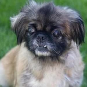 Meet your Posher, Carrie